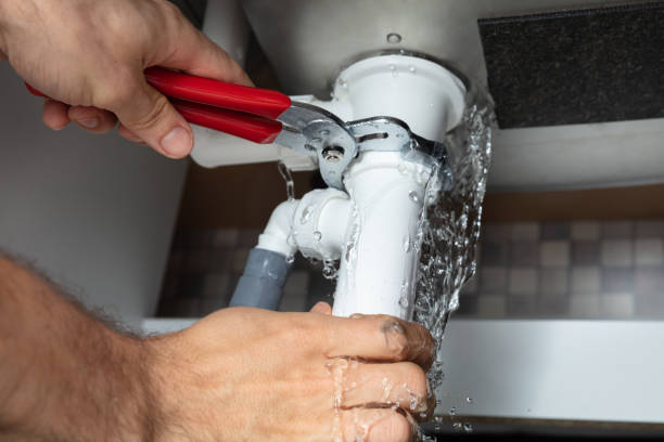 Best Water damage restoration near me  in South Lyon, MI