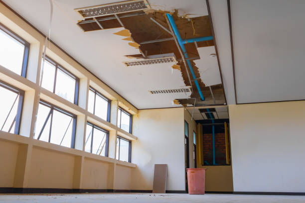 Best 24/7 water damage repair  in South Lyon, MI