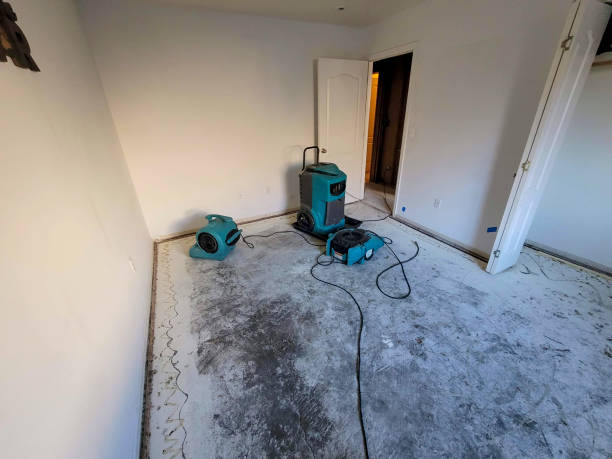 Water damage restoration mold remediation in MI