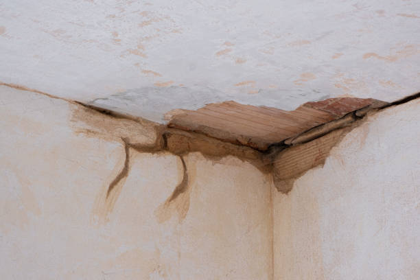 Best Local water damage restoration  in South Lyon, MI