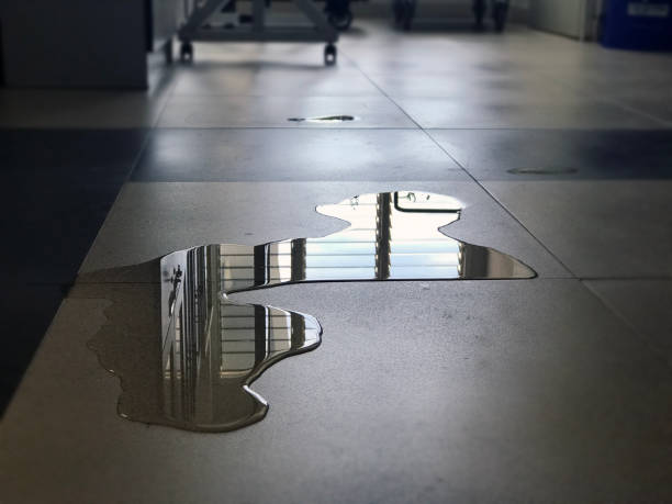 Best Local water damage restoration  in South Lyon, MI