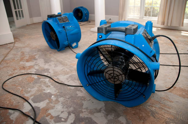 Best Residential water damage restoration  in South Lyon, MI