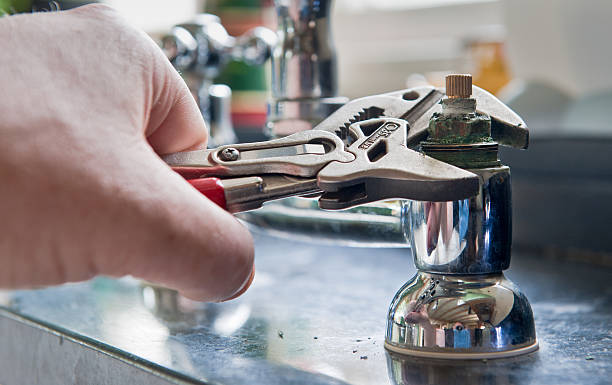 Best Water damage restoration mold remediation  in South Lyon, MI