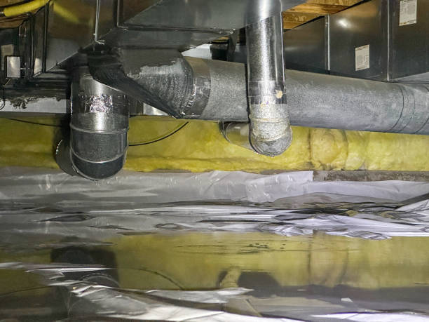 Best Basement water damage restoration  in South Lyon, MI