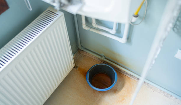 Best Mold removal after water damage  in South Lyon, MI