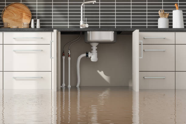 Best Flood restoration services  in South Lyon, MI