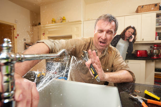 Best Water damage restoration company  in South Lyon, MI